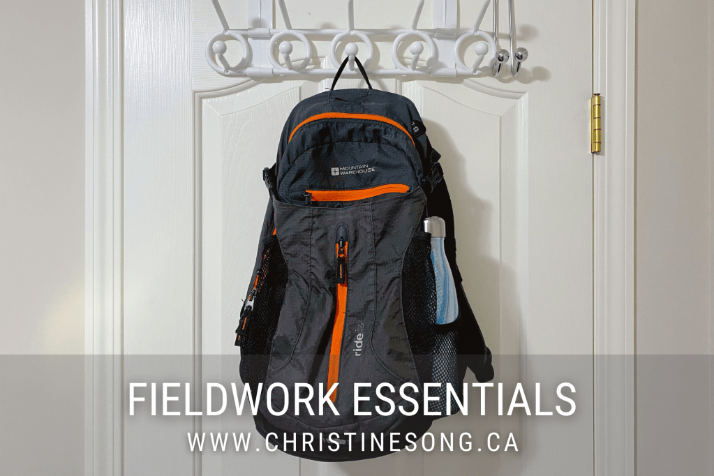 Fieldwork Essentials